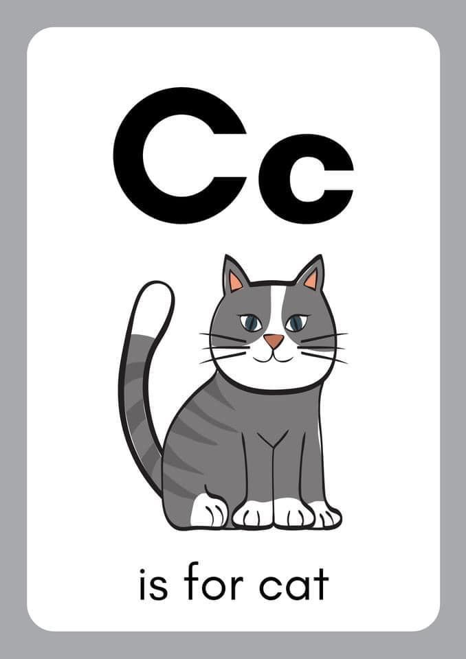 the letter c is for cat