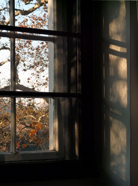 an open window with the sun shining through it and leaves on the ground behind it