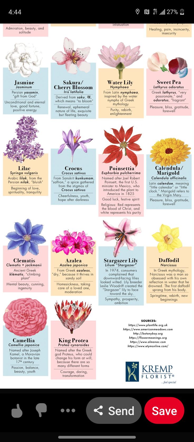 an iphone screen with flowers on it and the caption for each flower is shown