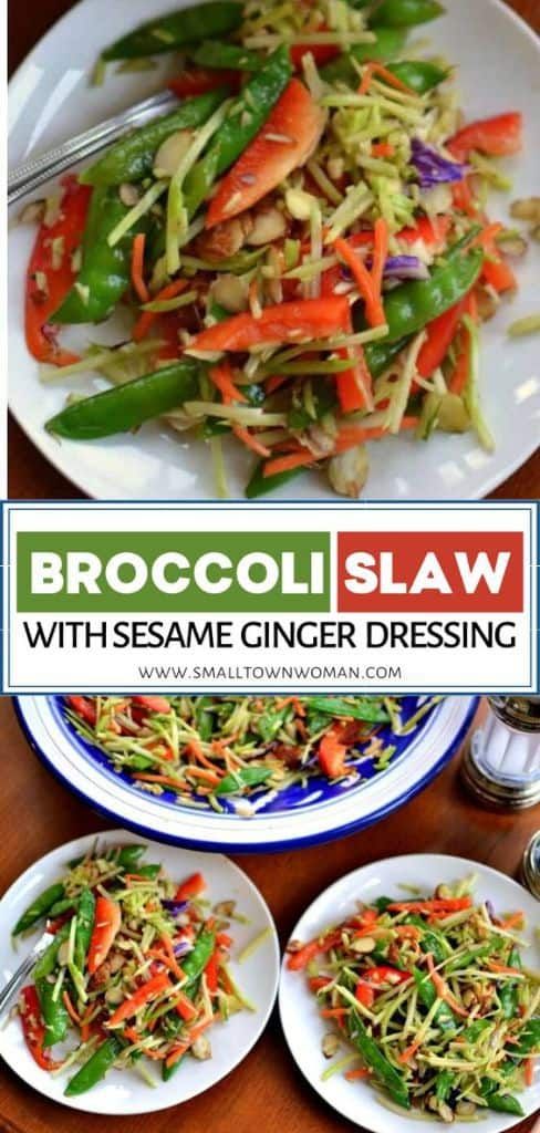 broccoli slaw with sesame ginger dressing on two plates