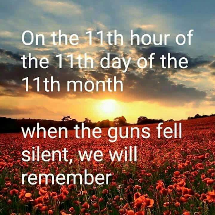 a field full of red flowers with the sun setting in the background and text saying on the 14th hour of the 11th day of the 11th month