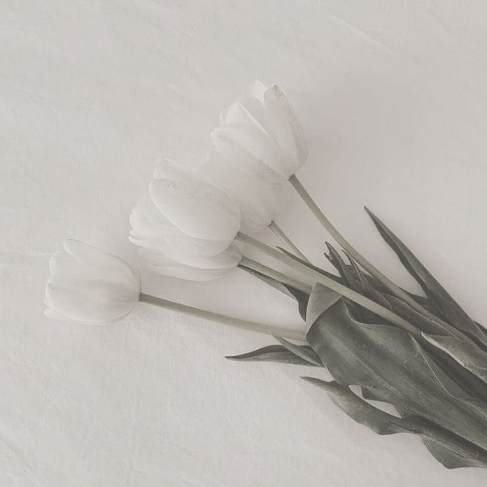 three white tulips sitting on top of a white sheet covered floor next to each other