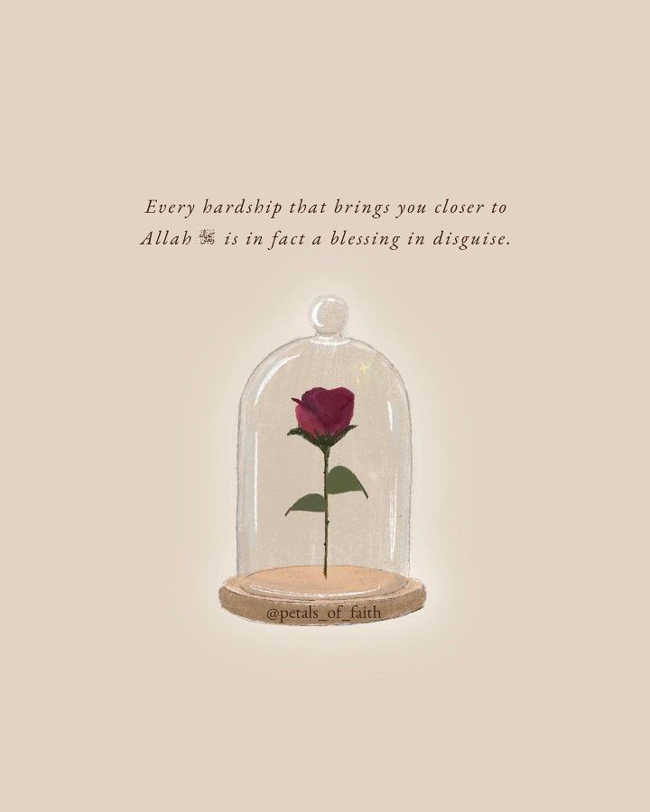 a red rose under a glass dome with an inscription underneath it