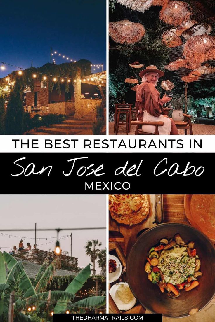 the best restaurants in san jose del cabo, mexico