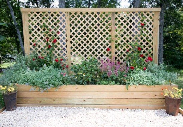 a wooden bench sitting in the middle of a garden filled with lots of plants and flowers