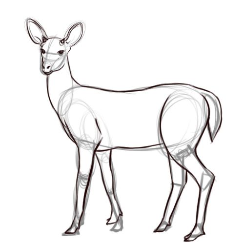 an animal that is standing in the middle of a line drawing style, it's head