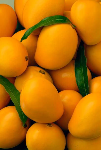 a pile of oranges with green leaves on them