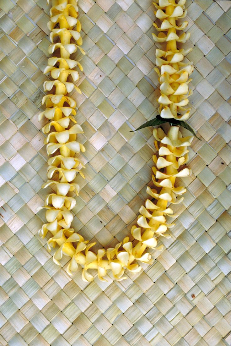 a bunch of bananas that are on top of a bamboo wall with the letter u