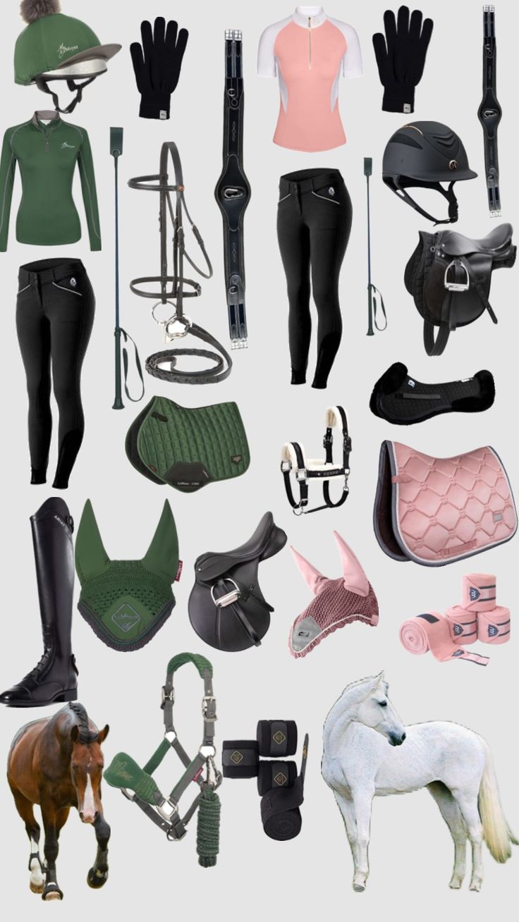 an assortment of horse riding gear and accessories