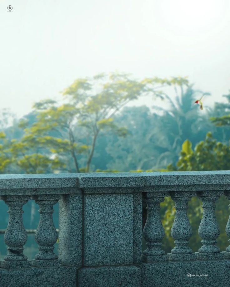 a man riding a skateboard down the side of a cement wall next to a lush green forest