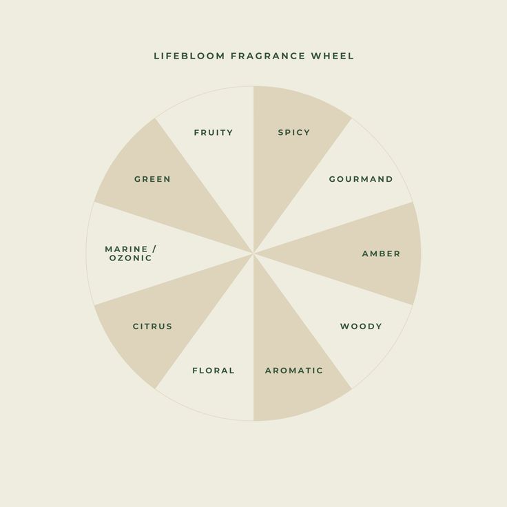 a pie chart with different types of food on it and the words lifeloomfrance wheel