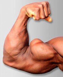 an image of a man flexing his muscles