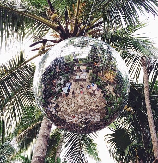 a mirror ball hanging from the side of a palm tree