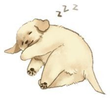 a drawing of a dog sleeping on its back with the caption's name below it