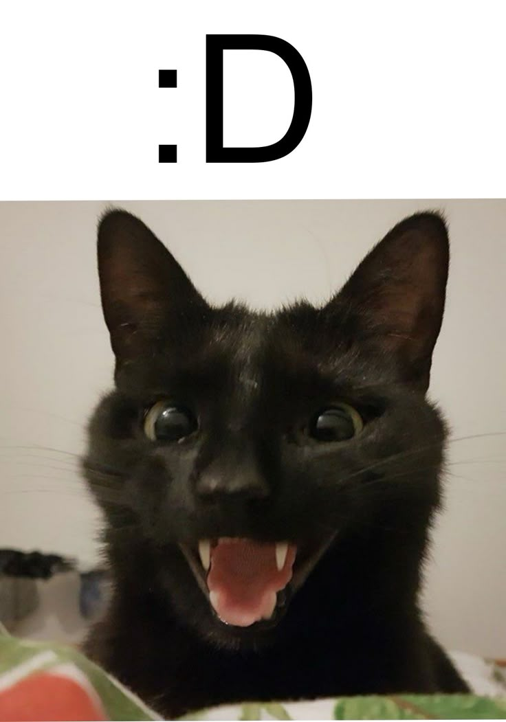 a black cat with it's mouth open and the letter d in front of it