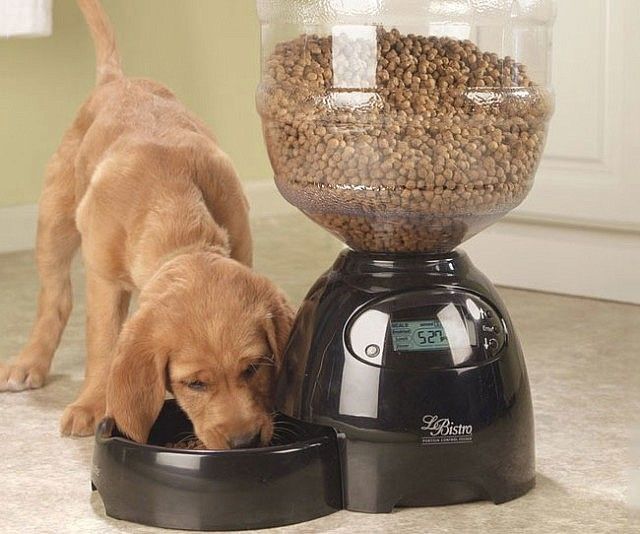 a puppy eating out of a food dispenser