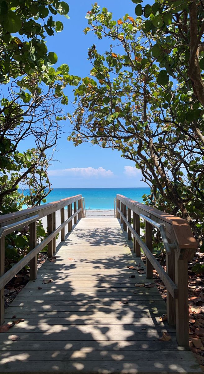 a wooden walkway leading to the beach with trees on either side and water in the background