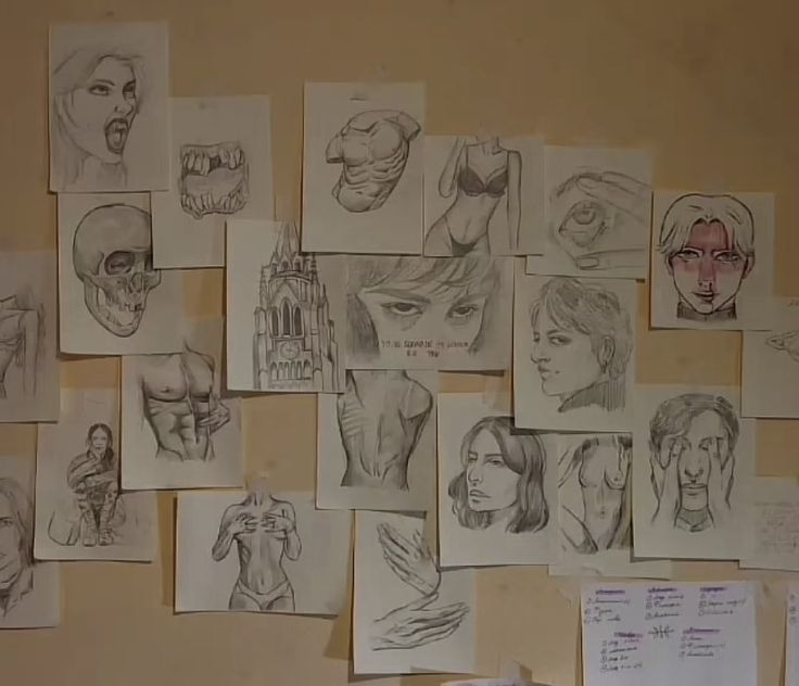 a bunch of drawings are hanging on the wall