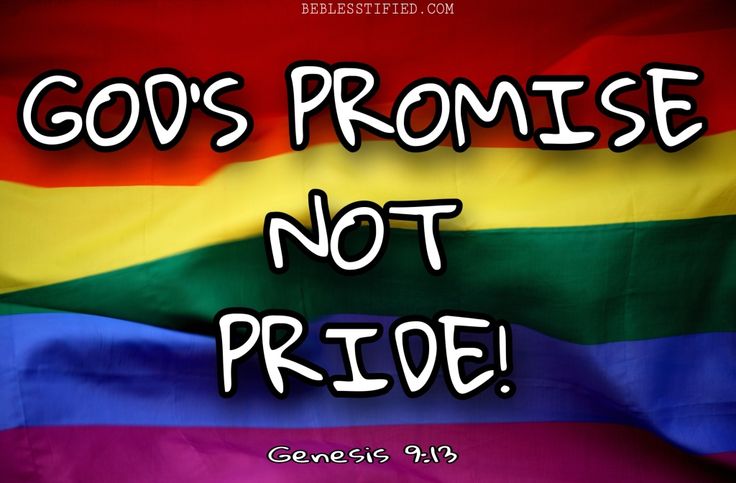 a rainbow flag with the words god's promise not pride