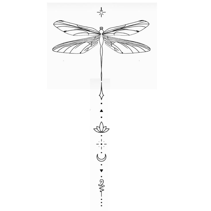 a line drawing of a dragonfly on a white background with arrows pointing up and down