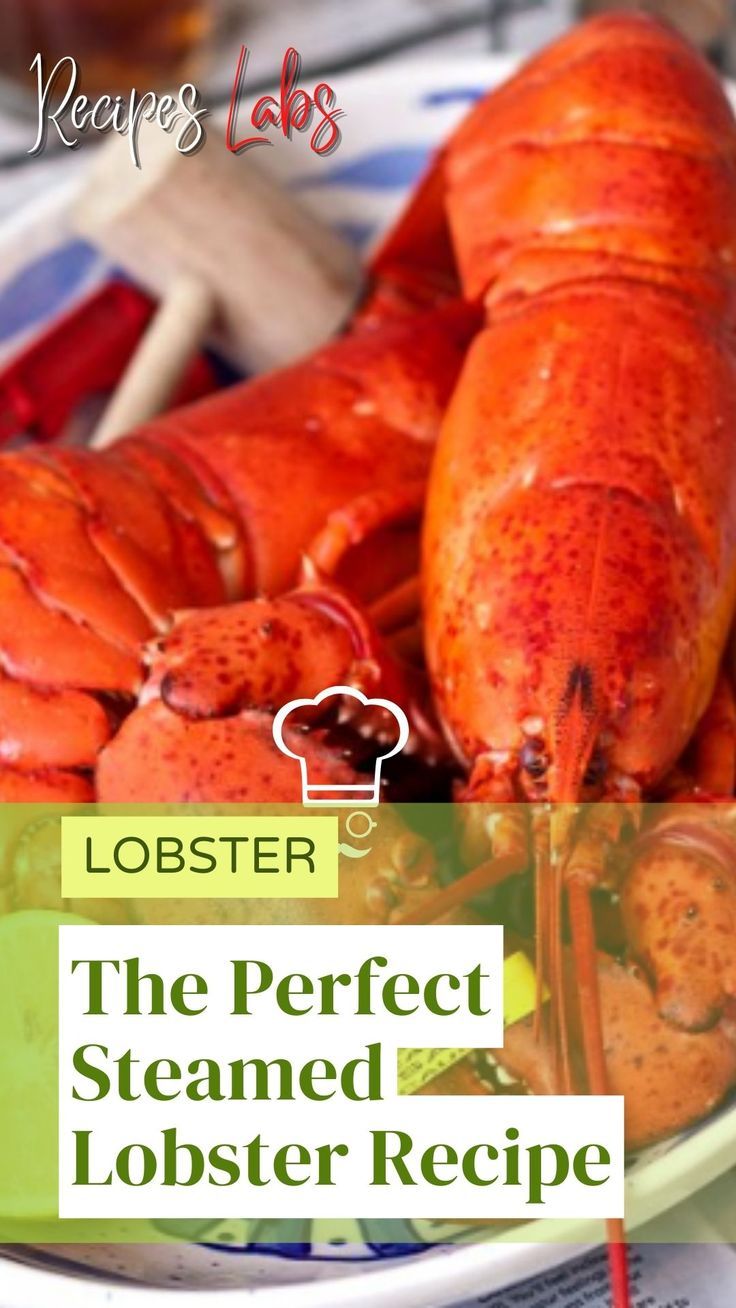 The Perfect Steamed Lobster Recipe Lobster Recipe, Steamed Lobster, Steamed Crabs, Short Recipes, Crab And Lobster, Lobster Meat, Custard Recipes, Lobster Recipes, Crab Recipes