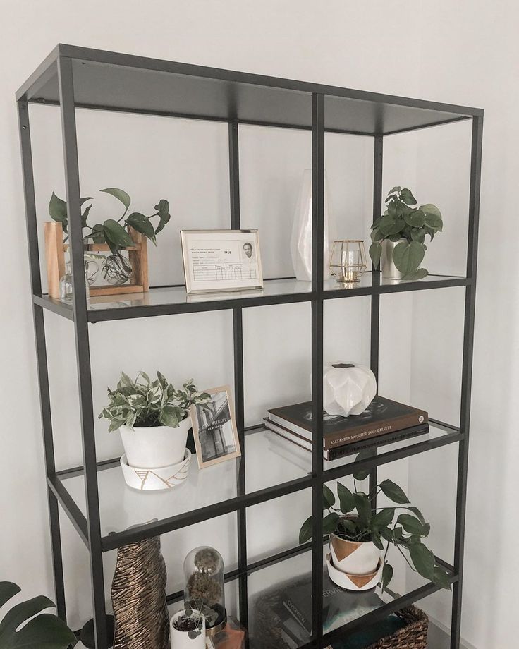 a shelf filled with potted plants and books