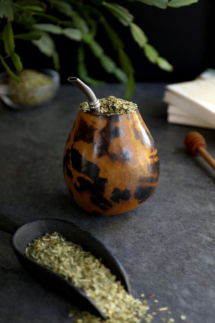 a wooden spoon with some dried herbs in it next to a potted plant on a table