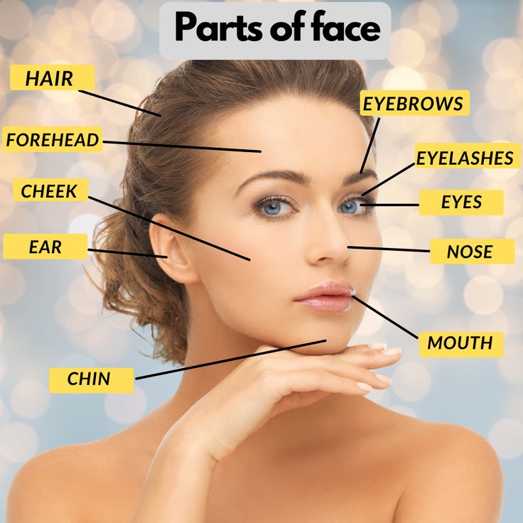 a woman's face with the words parts of face above her head and below her chin