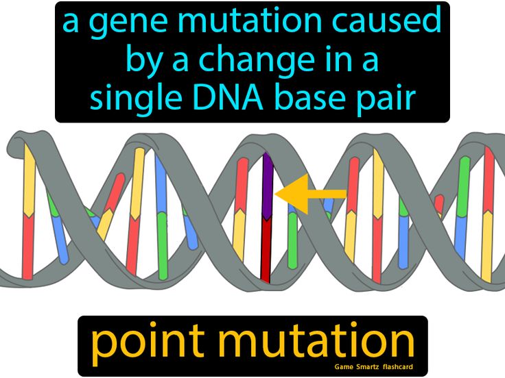 a gene mutaton caused by a change in a single dna base pair