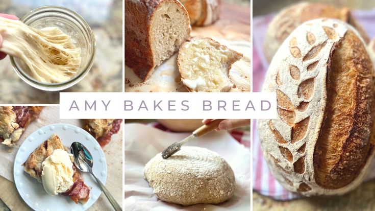 Amy Bakes Bread | Easy Sourdough Recipes | Sourdough Tips