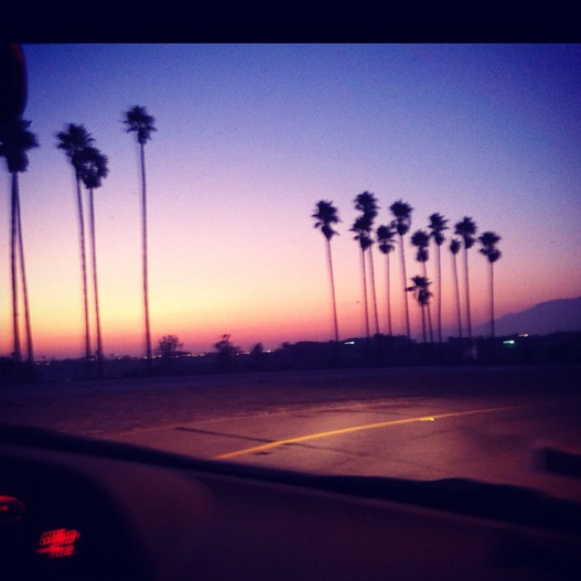 the sun is setting behind palm trees on an empty road in front of a parking lot