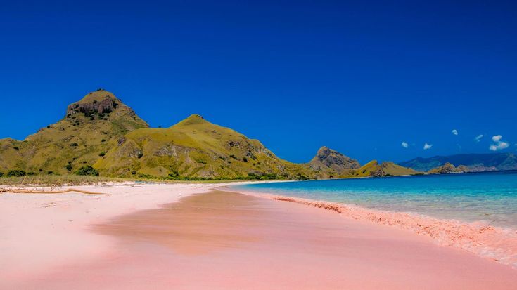 pink sand beach with mountains in the background and blue water on the bottom right side