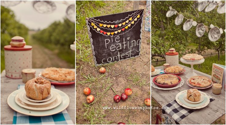 an outdoor picnic with pies and cakes