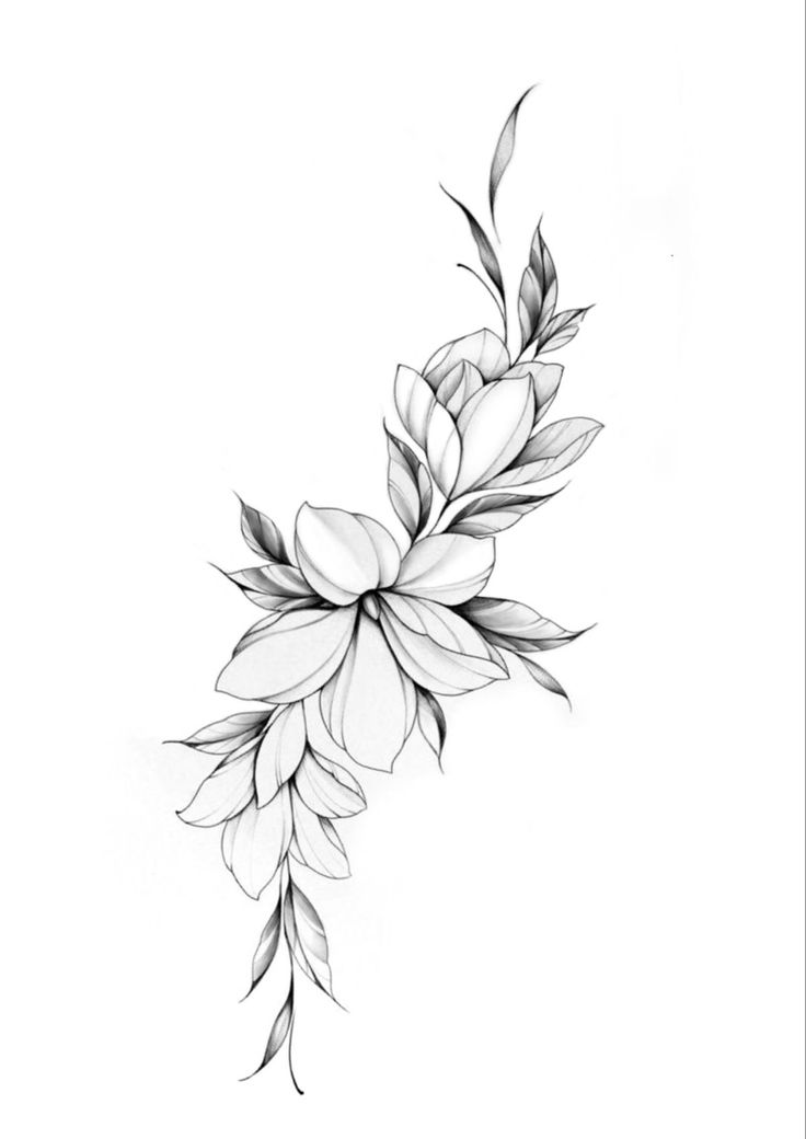 a black and white drawing of a flower