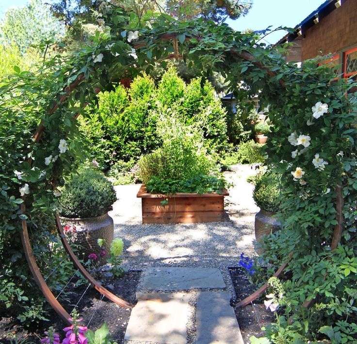 an outdoor garden with lots of plants and flowers