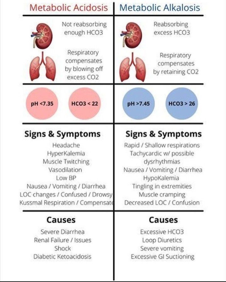 Metabolic alkalosis vs Metabolic acidosis - MEDizzy Arterial Blood Gases Nursing, Nursing Student Notes, Arterial Blood Gases, Acidosis And Alkalosis, Respiratory Alkalosis, Metabolic Alkalosis, Respiratory Acidosis, Metabolic Acidosis, Arterial Blood Gas