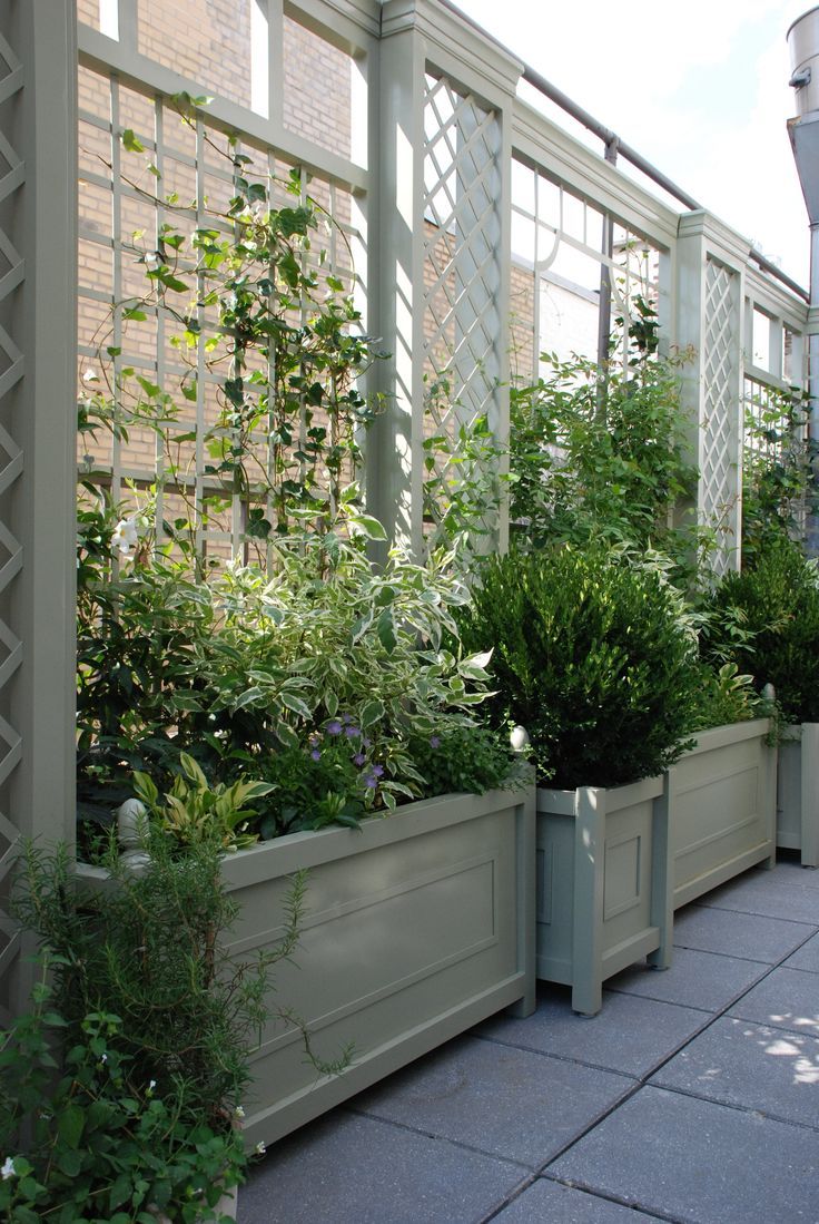 there are many plants growing in the planters