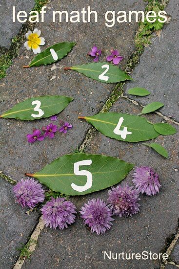 purple flowers and numbers laid out on the ground next to green leaves with white numbers