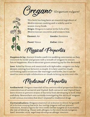 a menu for an organic restaurant with flowers and herbs on parchment paper, as well as information about the ingredients