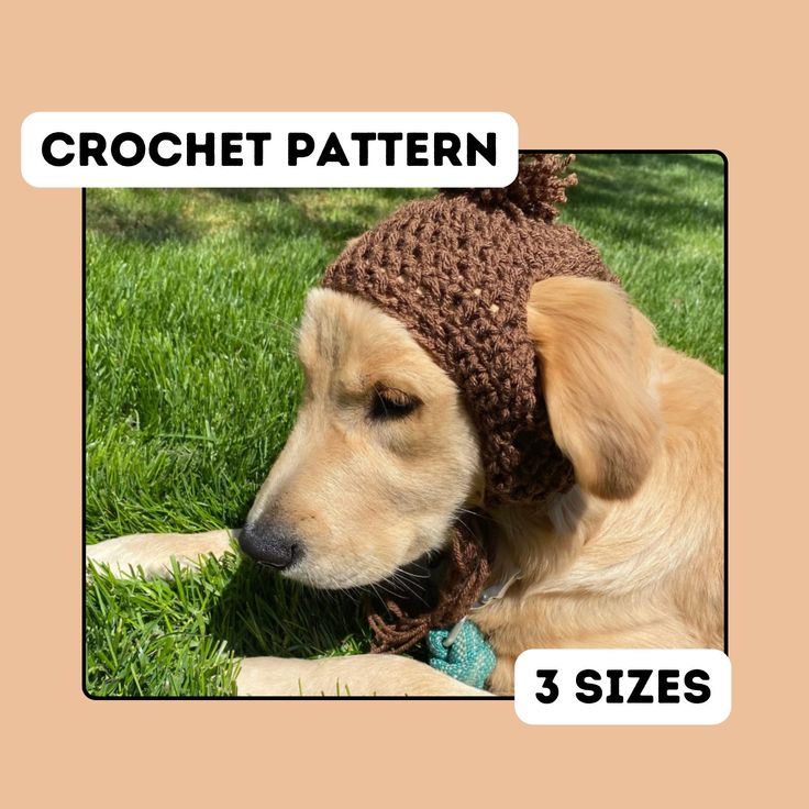 a dog wearing a crochet hat laying in the grass with 3 sizes below it