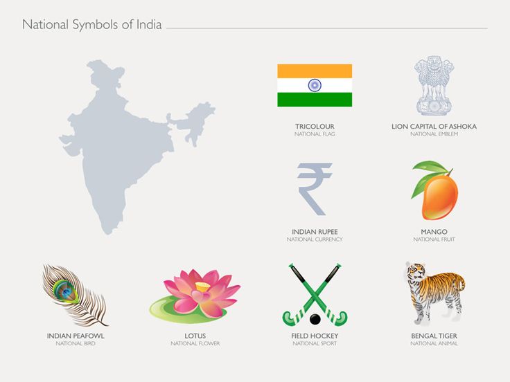 the national symbols of india are shown here