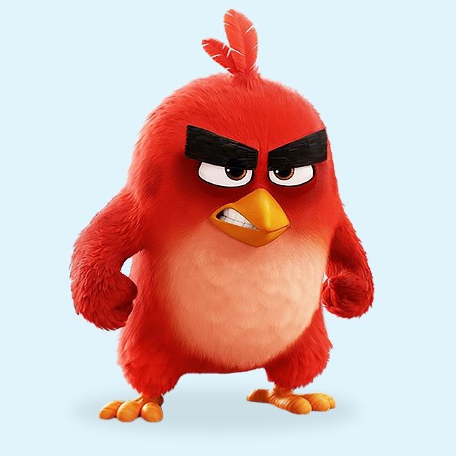 the angry bird from the angry birds movie