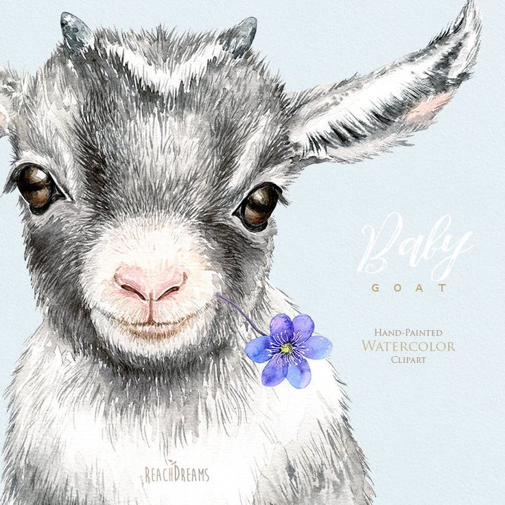 a watercolor painting of a goat with a blue flower in its mouth