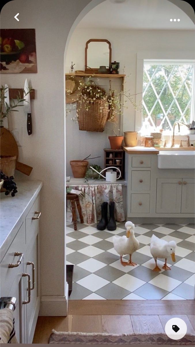 two ducks are standing in the middle of a kitchen floor with checkered tiles on it