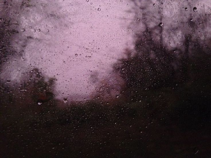 rain drops on the window with trees in the background and purple sky behind it at night