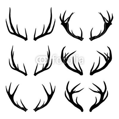 the silhouettes of deer's antlers on a white background