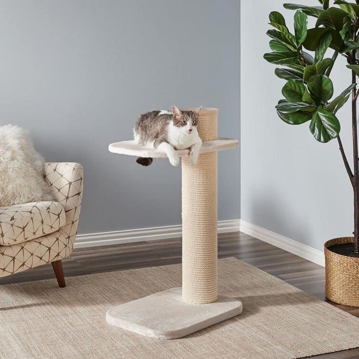 Beige Shade 38" Size, Small Cat Tree Mid-Sized, Tip Resistant, Faux Fur; Sisal Rope Cover, Freestanding Mount Type, Beautifully Designed | 3 Scratching Posts, 2 Tiers and 1 Perch Include, Durable Small Cat Tree, Curtain Rod Hardware, Sisal Rope, Cat Scratching Post, Neutral Colours, Cat Tower, Scratching Post, Small Cat, Cat Stuff