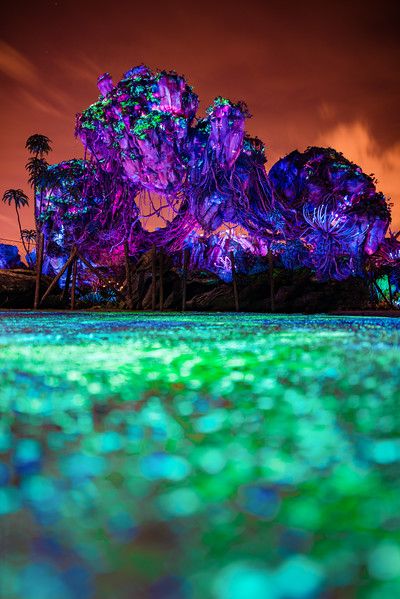 an image of some trees that are in the dark night sky with green and purple lights