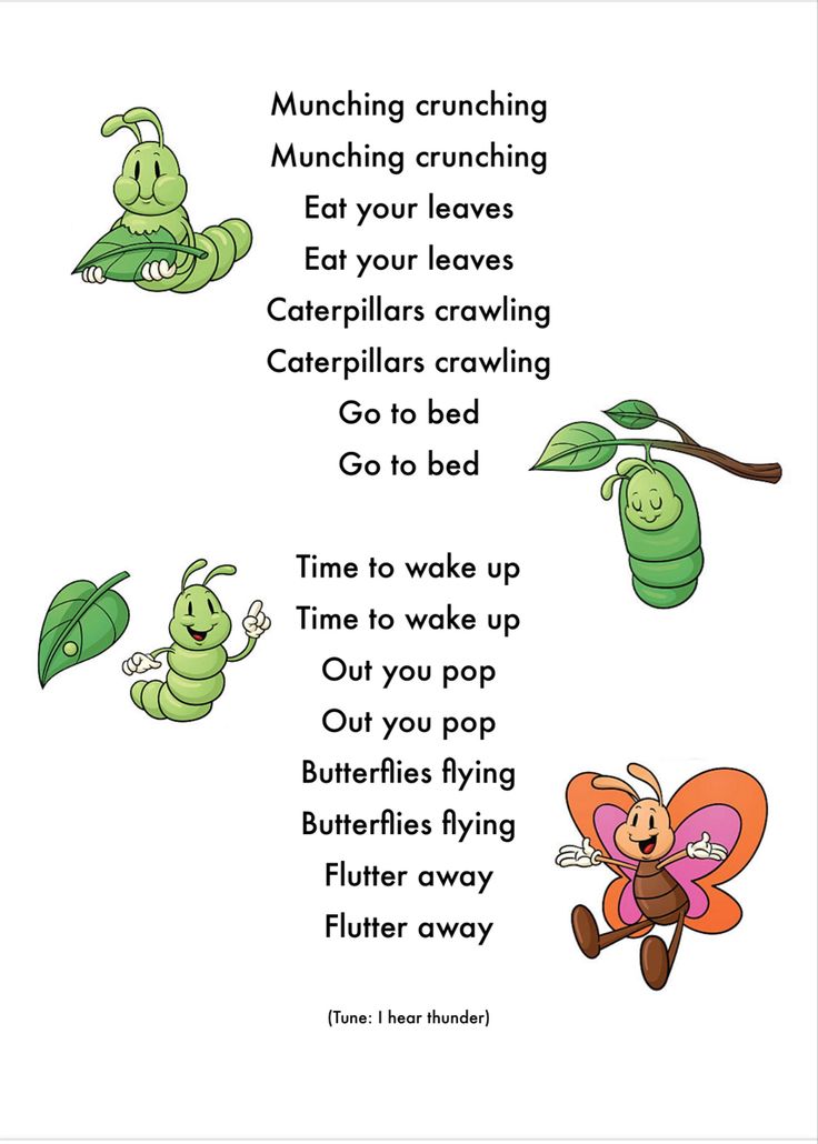 an insect poem for kids with pictures of bugs and caterpillars on it