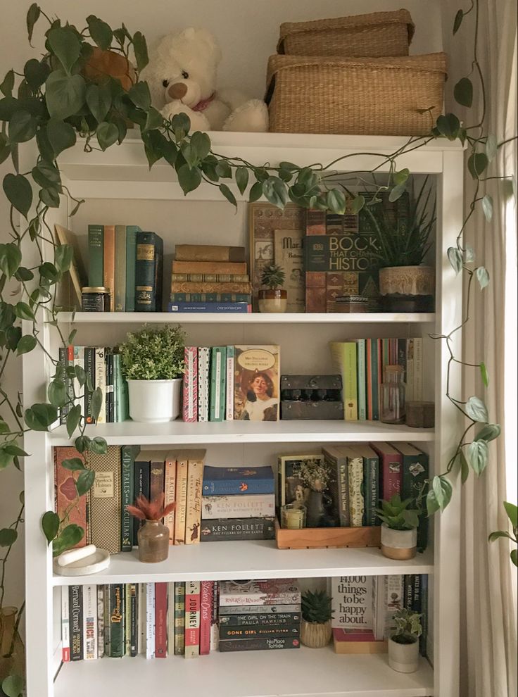 a bookshelf filled with lots of books next to a potted plant and wicker basket